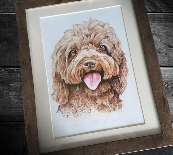 full colour pet portrait